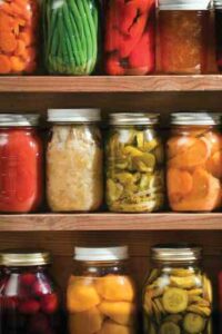 A Guide to Self-Sufficient Living Image